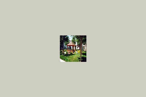 The Palms 12661