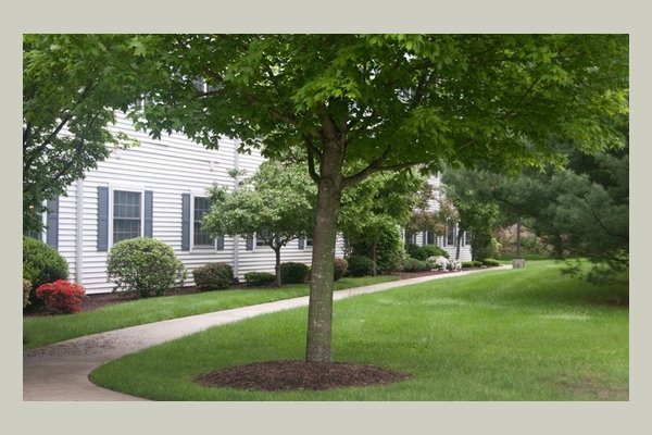 home instead senior care trumbull ct