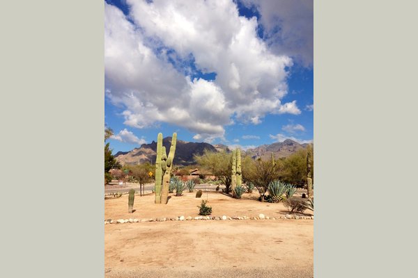 Emerald Manor Assisted Living Tucson Az Reviews Senioradvisor