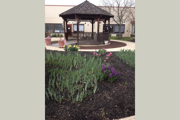 Meadow View Nursing And Respiratory Care Center Williamstown Nj