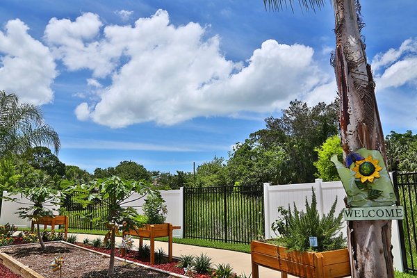 Inspired Living At Ivy Ridge Saint Petersburg Fl Reviews Senioradvisor