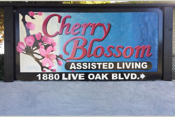 Cherry Blossom Assisted Living Yuba City Ca Reviews Senioradvisor