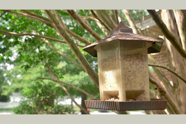 Oak Hill Assisted Living Community Angier Nc Reviews Senioradvisor